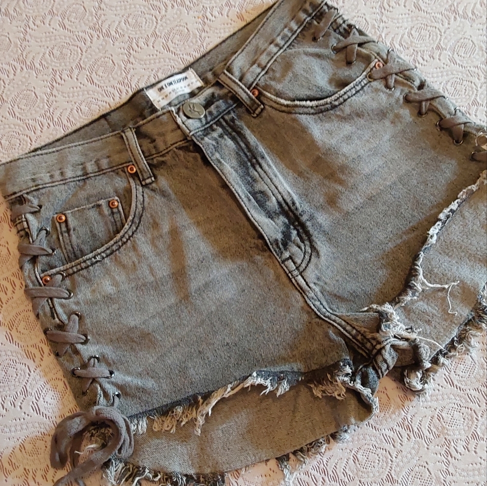 🌺 So Cool One by One Teaspoon Jean Cutoffs